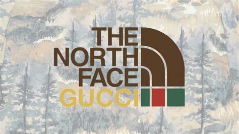 gucci mountain